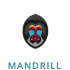 mandrill